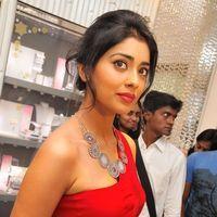 Shriya Saran at Wings of Fantasy Launch - Pictures | Picture 109850